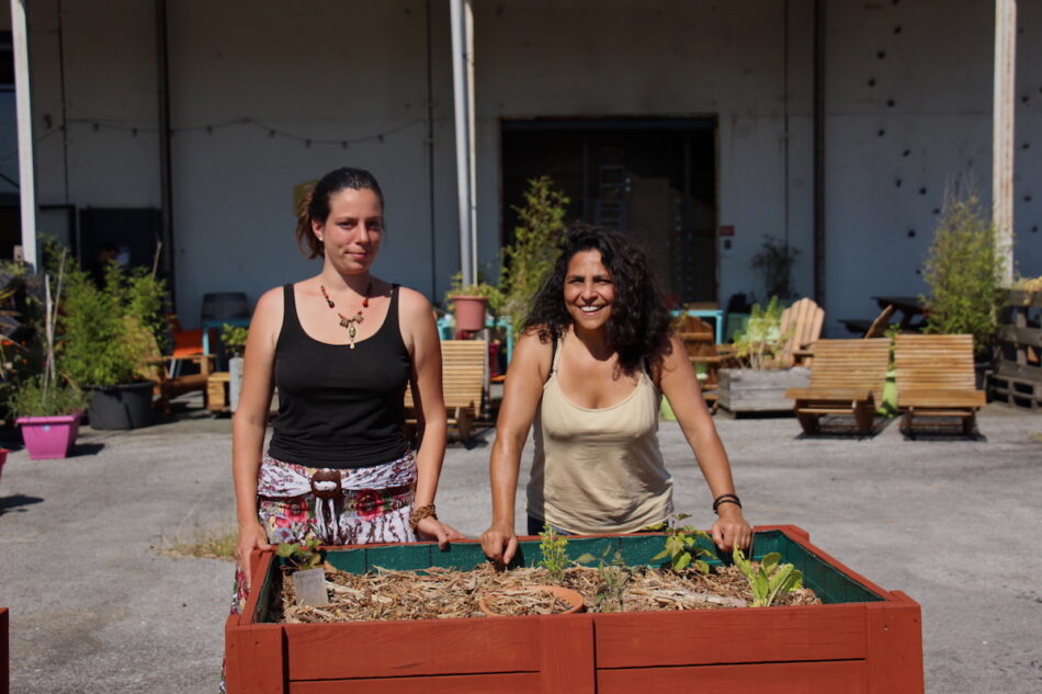 The Roof Pays Basque les génies verts - animation de jardin en bacs